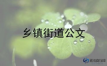 乡镇办2023年工作计划优质7篇