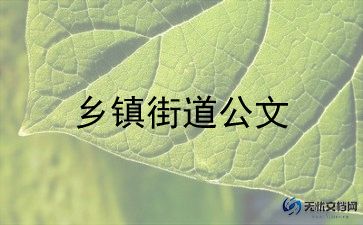 乡镇张工作总结参考7篇