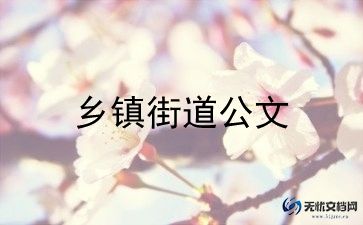 2023年度乡镇工作总结6篇