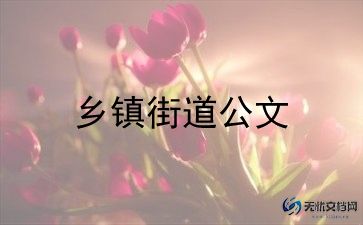 乡镇班培训总结8篇