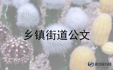 乡镇政府办公室工作总结6篇