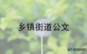 对乡镇的调查报告6篇