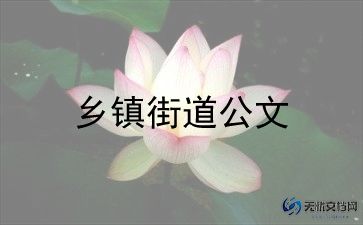 乡镇张工作总结模板6篇