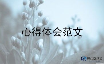 担当和落实的心得体会5篇
