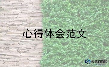 试用期写工作心得体会范文8篇