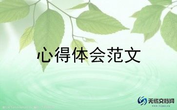 灯谜的心得体会6篇
