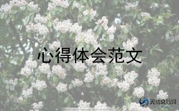 讲政治做表率个人心得体会8篇