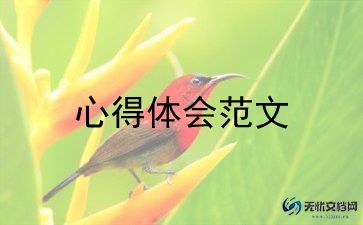 关于德育教育心得体会优秀范文5篇