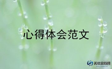搜形式与政策心得体会5篇