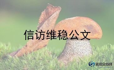 2023年上半年信访工作总结5篇