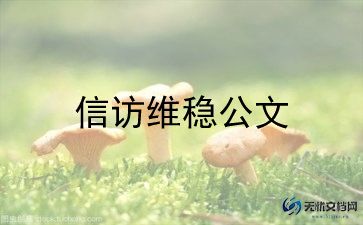 县信访局个人总结6篇