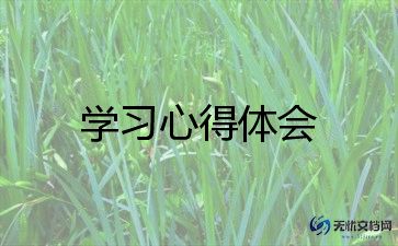 寒假实践学习心得体会6篇