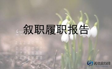 电商运营述职工作总结5篇