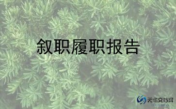 见习述职报告6篇