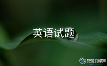 小学四上英语老师工作总结8篇