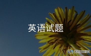 大学生英语总结报告6篇