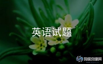 新英语老师的工作总结7篇
