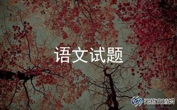 语文老师个人年度总结最新5篇