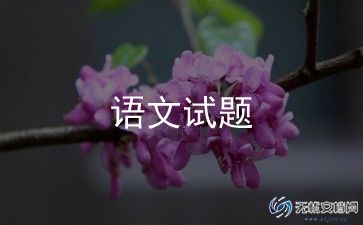 期中后语文教学反思8篇