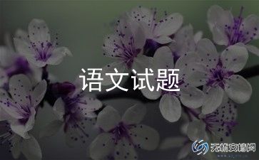 语文老师教学总结模板5篇