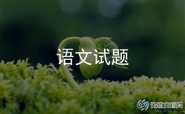 2024年一年级语文老师工作总结最新7篇