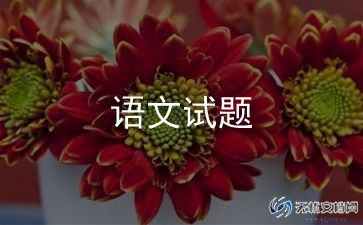 上学期六年级语文教学计划8篇
