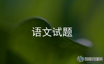 语文老师教学总结8篇