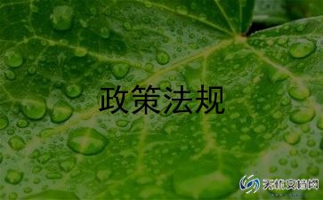 双减政策教师心得体会模板6篇