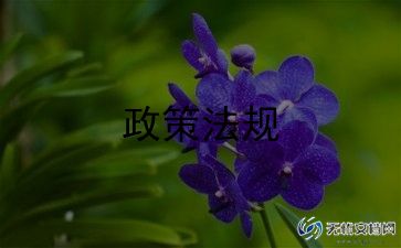 形势与政策三心得体会5篇