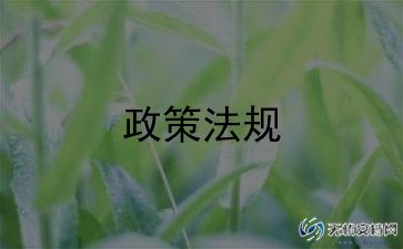 上完形势与政策的心得体会800字6篇