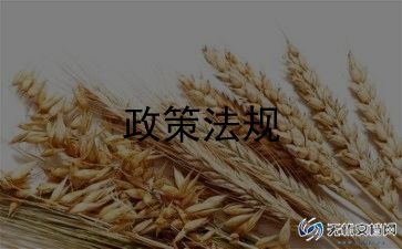 2023形式与政策心得体会5篇