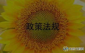 上完形势与政策的心得体会7篇