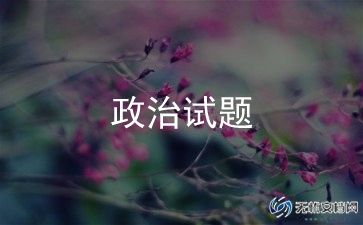 政治思想年度总结7篇