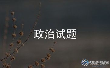 2023年政治老师工作总结模板5篇