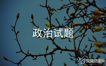 政治老师工作个人总结推荐7篇