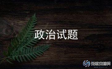 小学政治思想工作总结7篇