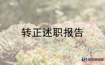 财务转正人员工作总结范文6篇