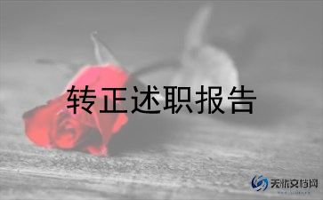工程类转正工作总结优秀5篇