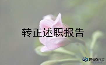 事业单位转正个人工作总结8篇