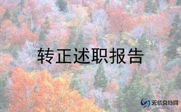 幼师试用期转正个人总结6篇