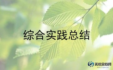 优秀技实践活动总结7篇