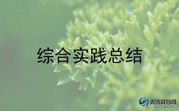 综合实践调查报告5篇