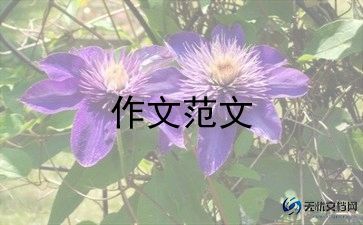 年级作文三年级作文最新6篇
