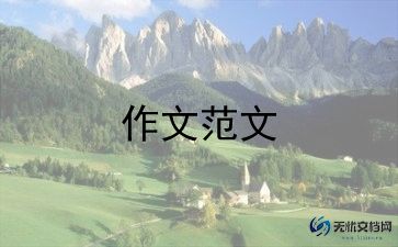 特别的一场比赛作文6篇