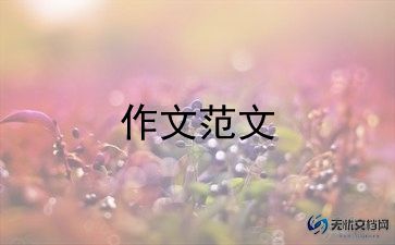 王子军的作文优质6篇