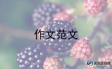 写父母偏爱的作文精选5篇