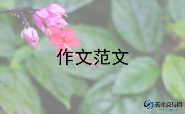 一场比赛作文500字5篇