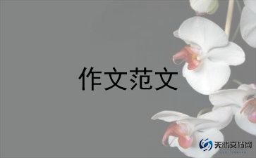 我和孙悟空过一天优秀作文6篇