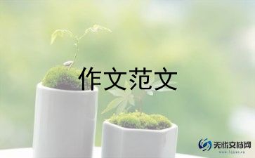 写我的母亲的700字作文7篇