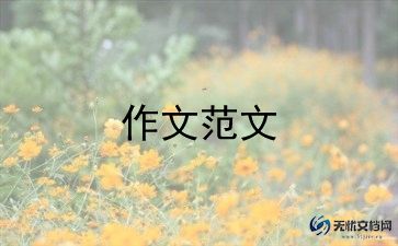 小学生精选作文6篇